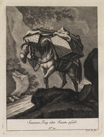 KG 01079
          <br/>
          Entwurf einiger Maulthiere und Esel. Siebender Theil. (18 bladen)
          <br/>
          <em>Ridinger, Johann Elias (1698-1767)</em>